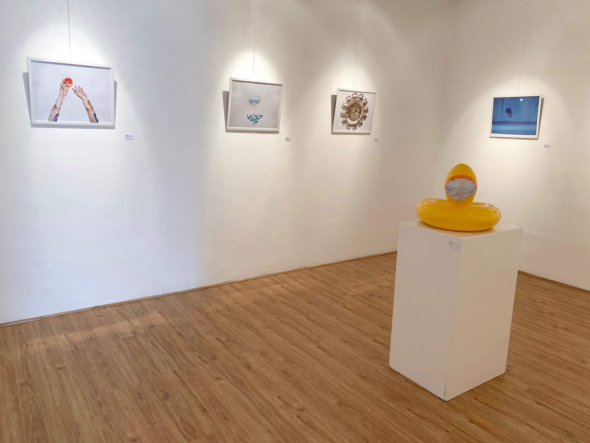 Solo Exhibition Gone